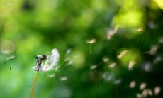 失去亲情：令人心碎的亲情破裂句子集锦