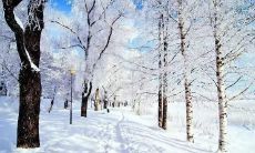 如何在冬至这个特殊的节日里，通过朋友圈智慧地表达自己的情感和思考？