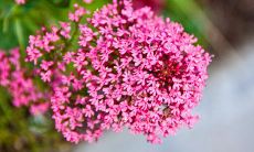 32句令人心醉神迷的朋友圈说说，打破八月想象力的边界！