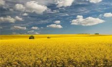 2022年八月你好：探讨唯美动听的最新说说，为朋友圈增添更多互动和艺术气息！