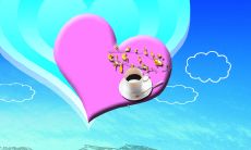 珍惜与感恩所在公司带来的幸福，我们应该表达的心情！