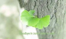 七月来了，让我们分享简短而有趣的说说！