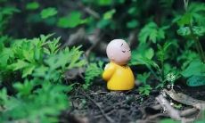 在炎炎烈日下，放空思绪，体验禅心静，闲暇夏日的静谧感受：神奇句子