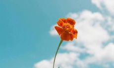 生活中充满正能量的文艺小清新，短而唯美的句子收录