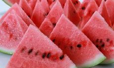 一份温馨的夏日问候：短信祝福语大集合！