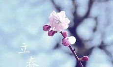 经典文化的珍品——描绘立春的诗句和诗词,让你在这个特别的日子里感受到传统文化的魅力!
