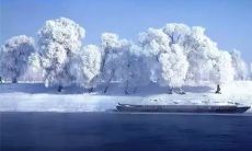 一篇简单易懂的冬季古诗，轻松领略意境之美