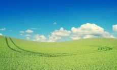 一起与子共欢愉：家人团聚的乐句