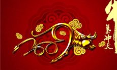 用最温暖的话祝福您，迎接牛年除夕之际！