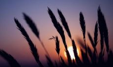 引发情感共鸣的令人心痛的韩文句子