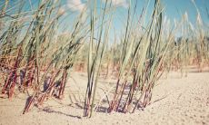 在周末给客户发送贴心问候短信，营造更紧密关系的有效方法