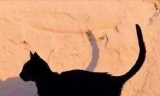 57条充满秋意的周末问候短信，温暖你我的心灵