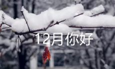 十二月的问候：向最后一个月的跨年倒计时中喊出你的心声
