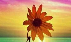 班级运动会口号的全面汇编：激励与动力的共同创造！