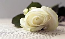 - 通过共同创造的班级梦想口号，激发团队合作精神，提升班级凝聚力和荣誉感