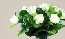 分享不带条件的家庭爱：感恩亲情的无私句子