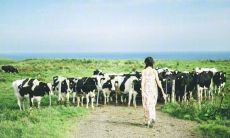 终于能够与他相伴，感到无比快乐的幸福缪斯达成！