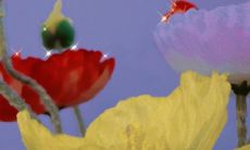 这么甜蜜撩人的早安句子，简直令人陶醉！