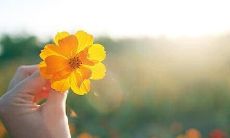 精选的令人心情愉悦的英文句子，让您感受到美好生活的无限可能性