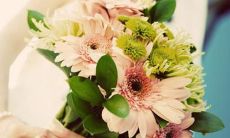 探寻寸草春晖的亲情之美：描绘温馨的句子汇集