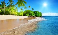 家庭情感对个人塑造的重要作用——探讨依赖亲情的语句