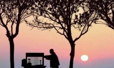 一些表达对父母深情的感人句子