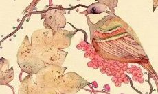 战狼队的口号汇总：构建强大的战术单位的战狼队的口号整理