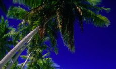 冬日暖心情，暖意满满的天冷加衣问候短信集锦