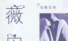 永别薇安：永久遗失经典语录