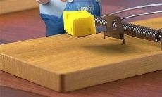 用愉悦轻松的语言解放心灵：一系列让人开心愉悦的句子