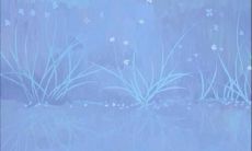 这几句话让他既心痛又舍不得你，深入挖掘了你在他心中的价值和特别之处