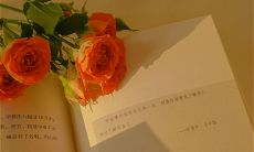 在牛年里展现牛气十足的企业祝福语