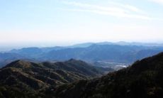 描述沮丧、失望或不满的面容表情的片语