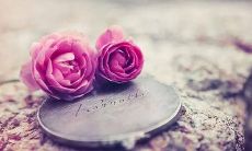 编排让人心痛的悲伤语句