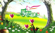 一些令人感恩的亲情句子，表达对父母的感激之情