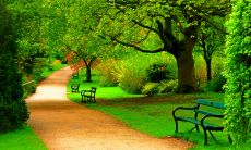 展现霸气的团队名称和口号，让你的团队更有气势！