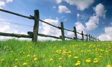 年华如水，珍重亲情：一句入骨的描述岁月恒久、亲情可贵的深刻铭言