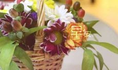 小红书每日早安文案：送你一句温馨祝福，开启美好的一天