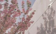 2022年，凭借暴富与暴美之力，实现财富增长梦想的创意文案