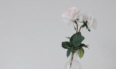 凝练亲情之离别的深邃情感，品味唯美动人的文学句子