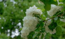 20句2021感悟生活不易的经典名言，让人深切感慨生活的不易