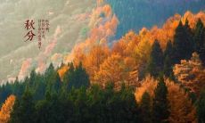 分享32句别具一格、精选秋分祝福语，让你的祝福与众不同