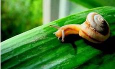 2022秋分说说朋友圈心情短语：给秋分唯美加冕，用好听短语在朋友圈传情达意，让友谊更浓，感悟更多！