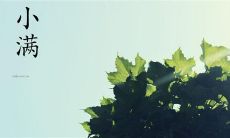 汇集了各路文人墨客的闲言佚语，赞美小满美好事物的绝妙语句汇编