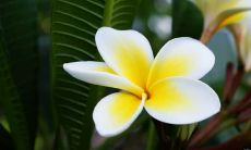 引发你内心潜能的经典名句和励志名言