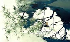 探究古风的优美句子，带你领略古韵盎然、文化内涵丰富的神韵之美