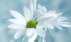 2022年的女生：充满阳光、积极向上的句子！