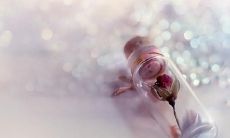 如何通过说说表达自己的情感，并安慰自己缓解内心的压力和焦虑？