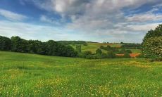 在炎热的夏季周末向朋友们发出温馨问候短信的建议