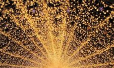 欣喜万分，沐浴阳光的绚丽笑容：看到你快乐的时刻！